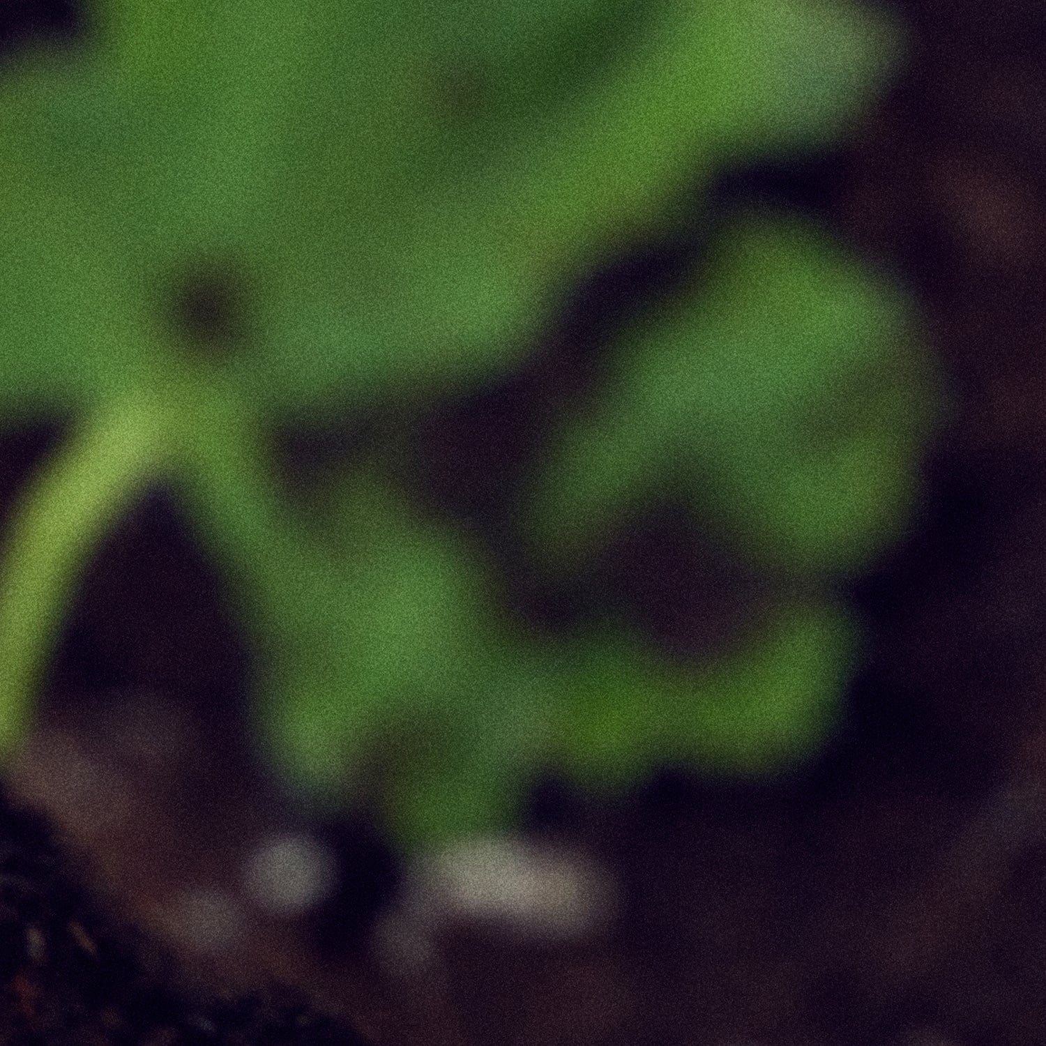 NONFICTION Parfum IN THE SHOWER Eau de Parfum