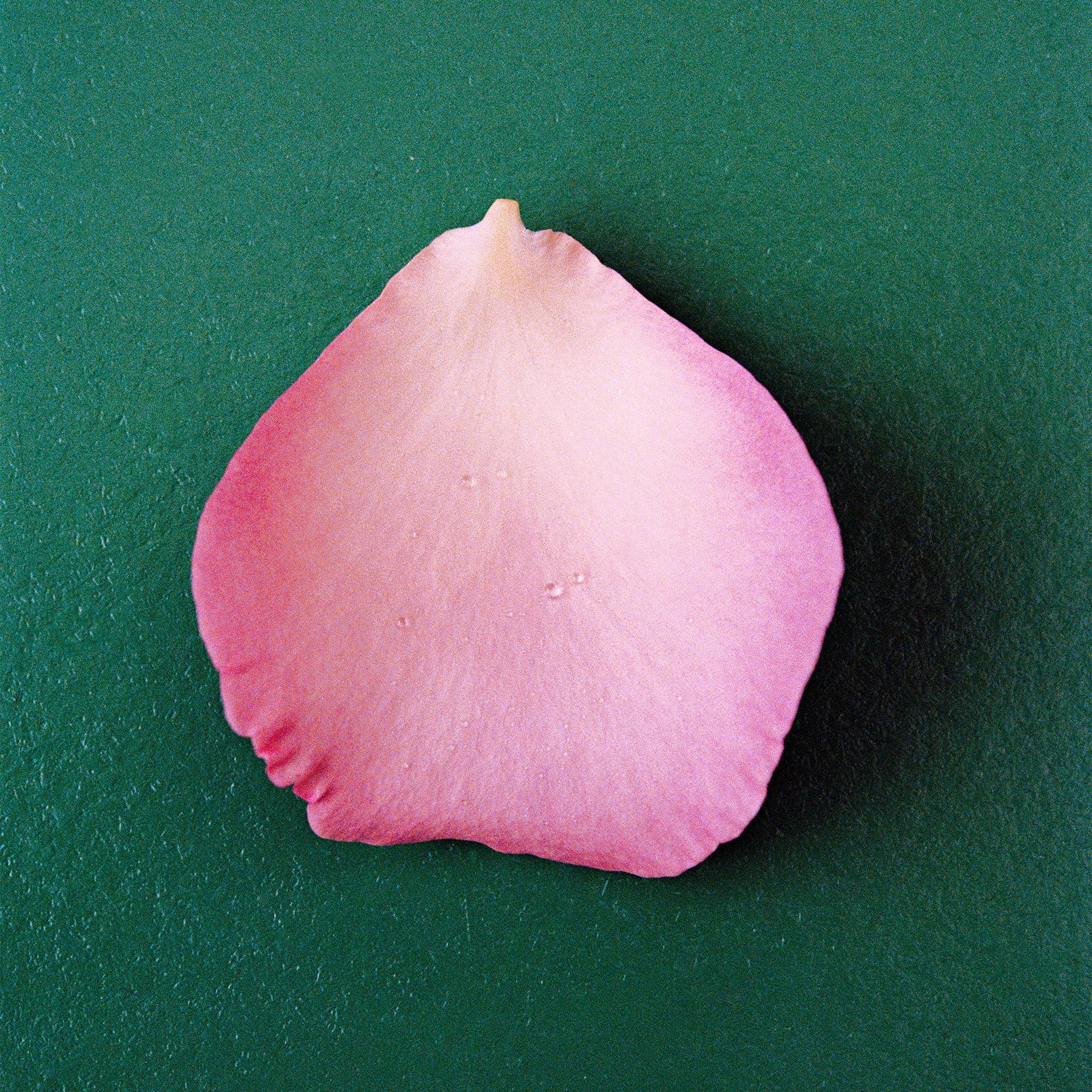 NONFICTION Parfum THE ROSE Eau de Parfum