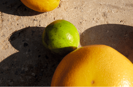 Shop by Scent - Citrus