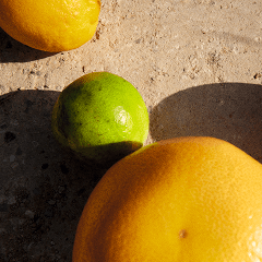 Shop by Scent - Citrus