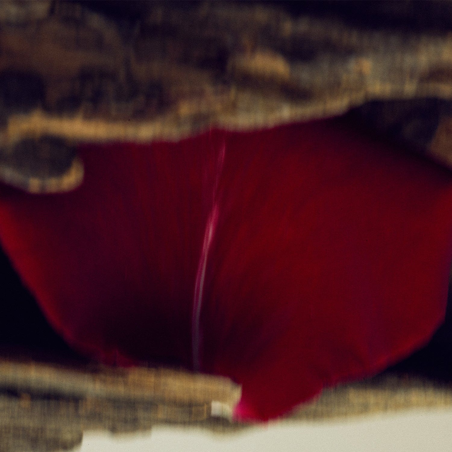 GAIAC FLOWER Parfum | NONFICTION Official Site