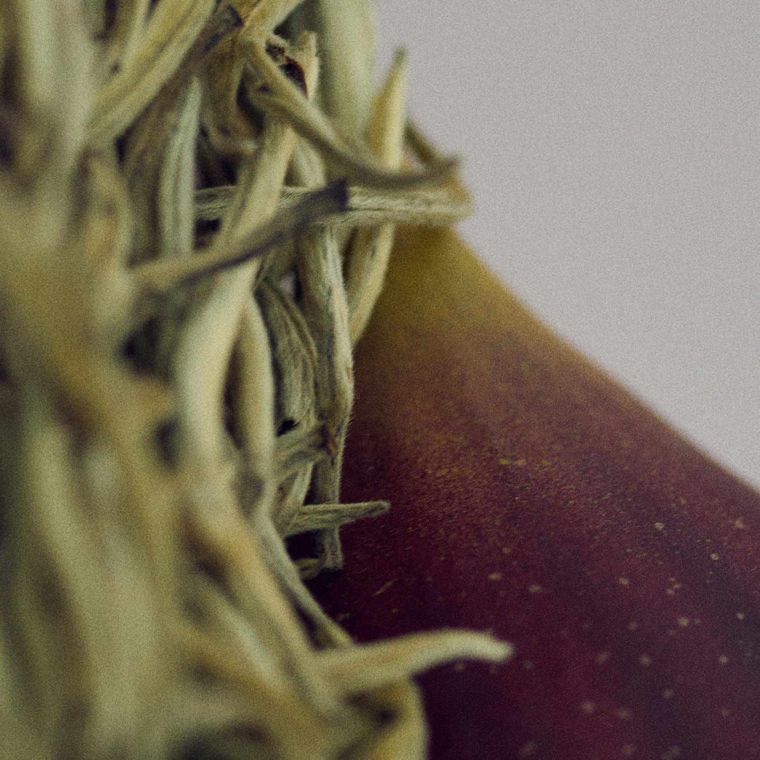 Gentle Night Parfum | NONFICTION Beauty Official Site