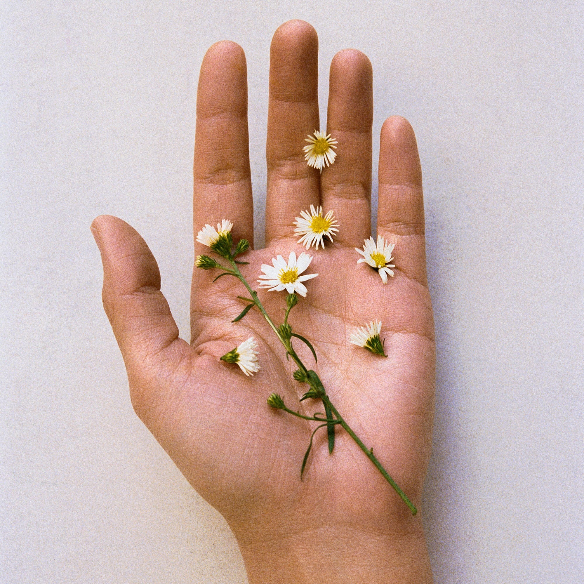 YOUNG MEMORIES Parfum | NONFICTION Official Site